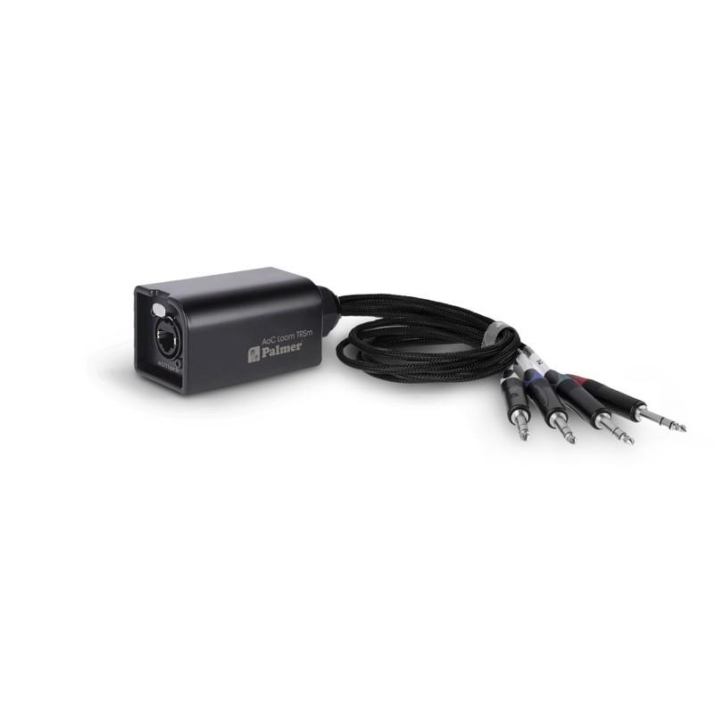 Audio Over Cat Loom til 4 x 6,3 mm TRS Jack - Optimer din lydproduktion!